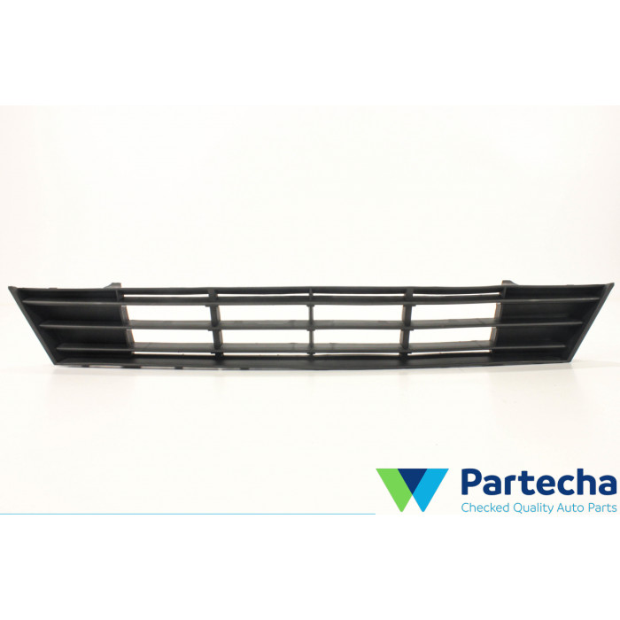 BMW 5 Touring (F11) Grille de pare-chocs (51117331724)