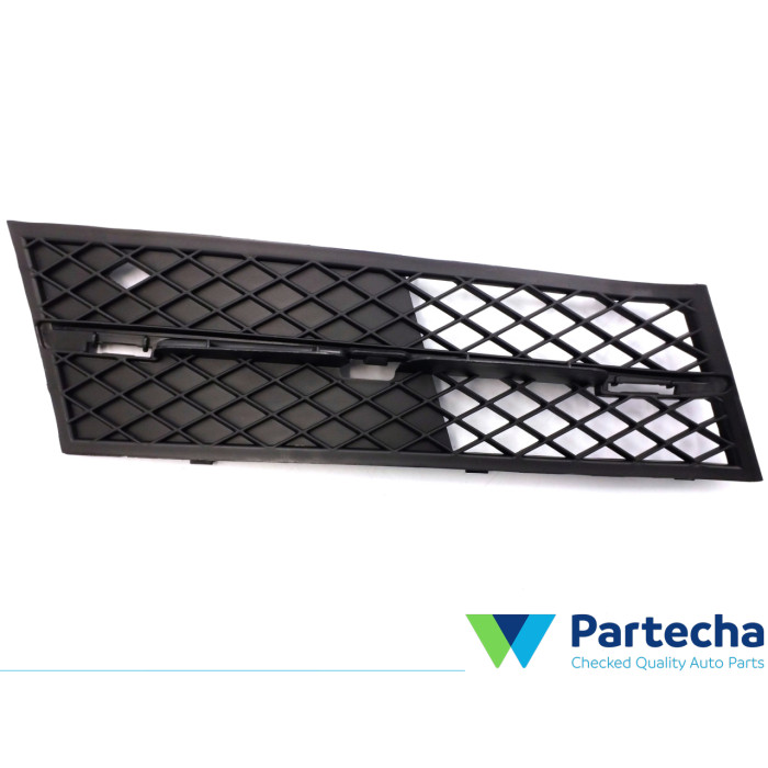 BMW 5 (F10) Grille de pare-chocs (51117200700)