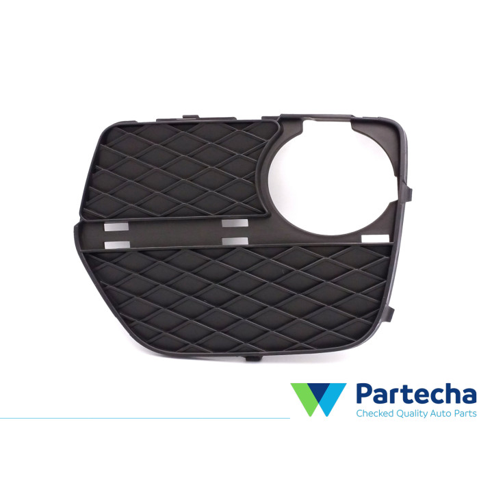 BMW X6 (E71, E72) Grille de pare-chocs (51117312605)