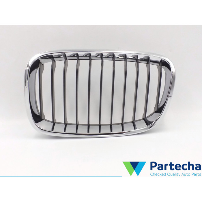 BMW 1 (F20) Grille avant (51137239021)