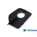 BMW X6 (E71, E72) Grille de pare-chocs (51117188384)