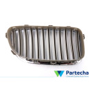 BMW 5 Touring (F11) Grille avant (51137261355)