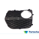 BMW X6 (E71, E72) Grille de pare-chocs (51117312606)