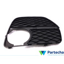 BMW X6 (E71, E72) Grille de pare-chocs (51117312605)