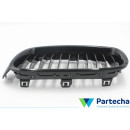 BMW 3 Touring (F31) Grille avant (51712240778)