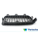 BMW 3 Touring (F31) Grille avant (51712240778)