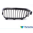 BMW 3 Touring (F31) Grille avant (51137255412)