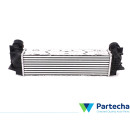 BMW 5 (F10) Intercooler (17117618769)