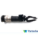 PORSCHE CAYENNE (9YA) Jambe de suspension (9Y0616037)