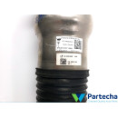 PORSCHE CAYENNE (9YA) Jambe de suspension (9Y0616037)