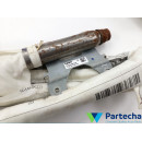 BMW 7 Seires (G11, G12) Kit airbag de toit / jeu L+R (1039702L)